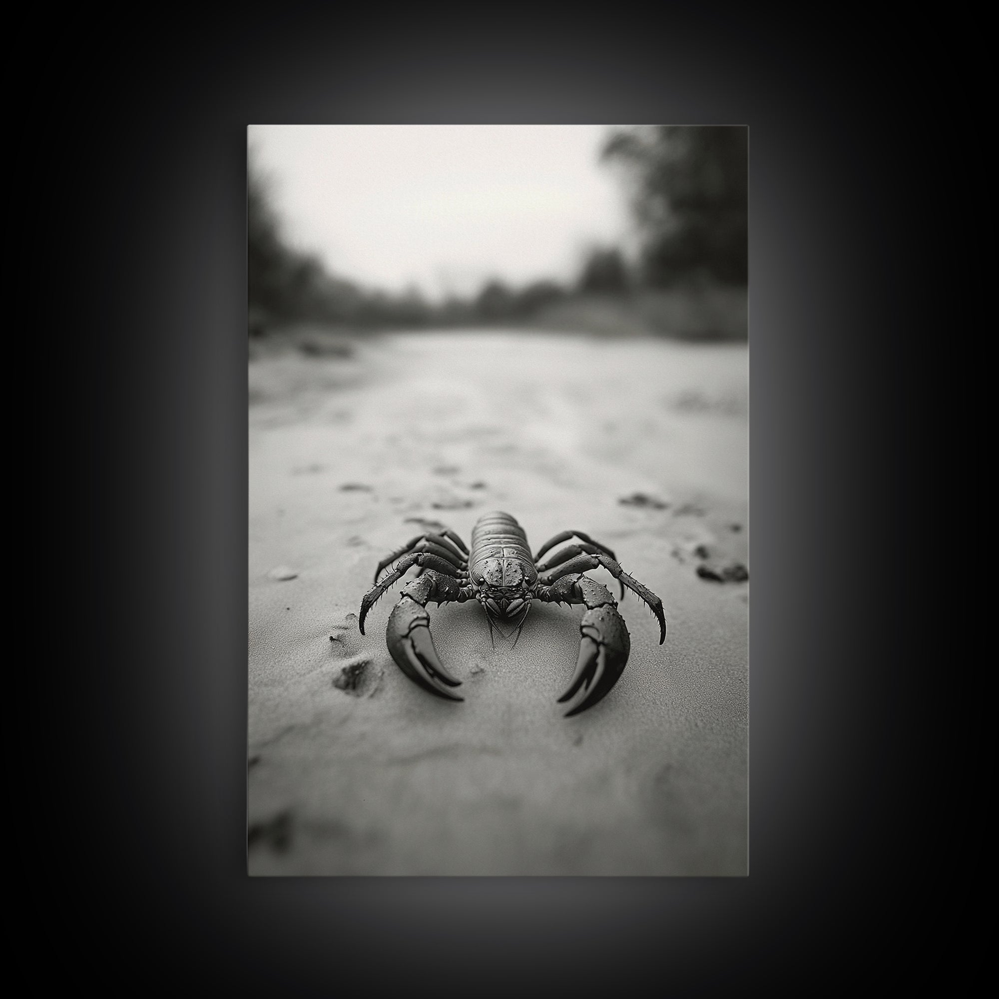Desert Scorpion, Moody Wildlife, Sandy Ground, Focused Predator, Framed Canvas Print, edgy boho decor, masculine wall art, nature closeup