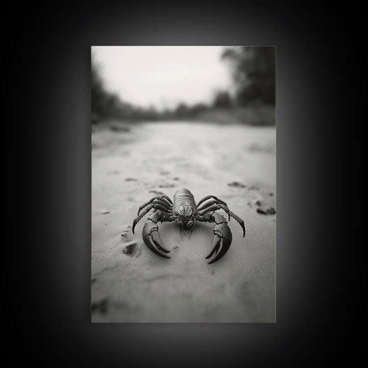 Desert Scorpion, Moody Wildlife, Sandy Ground, Focused Predator, Framed Canvas Print, edgy boho decor, masculine wall art, nature closeup