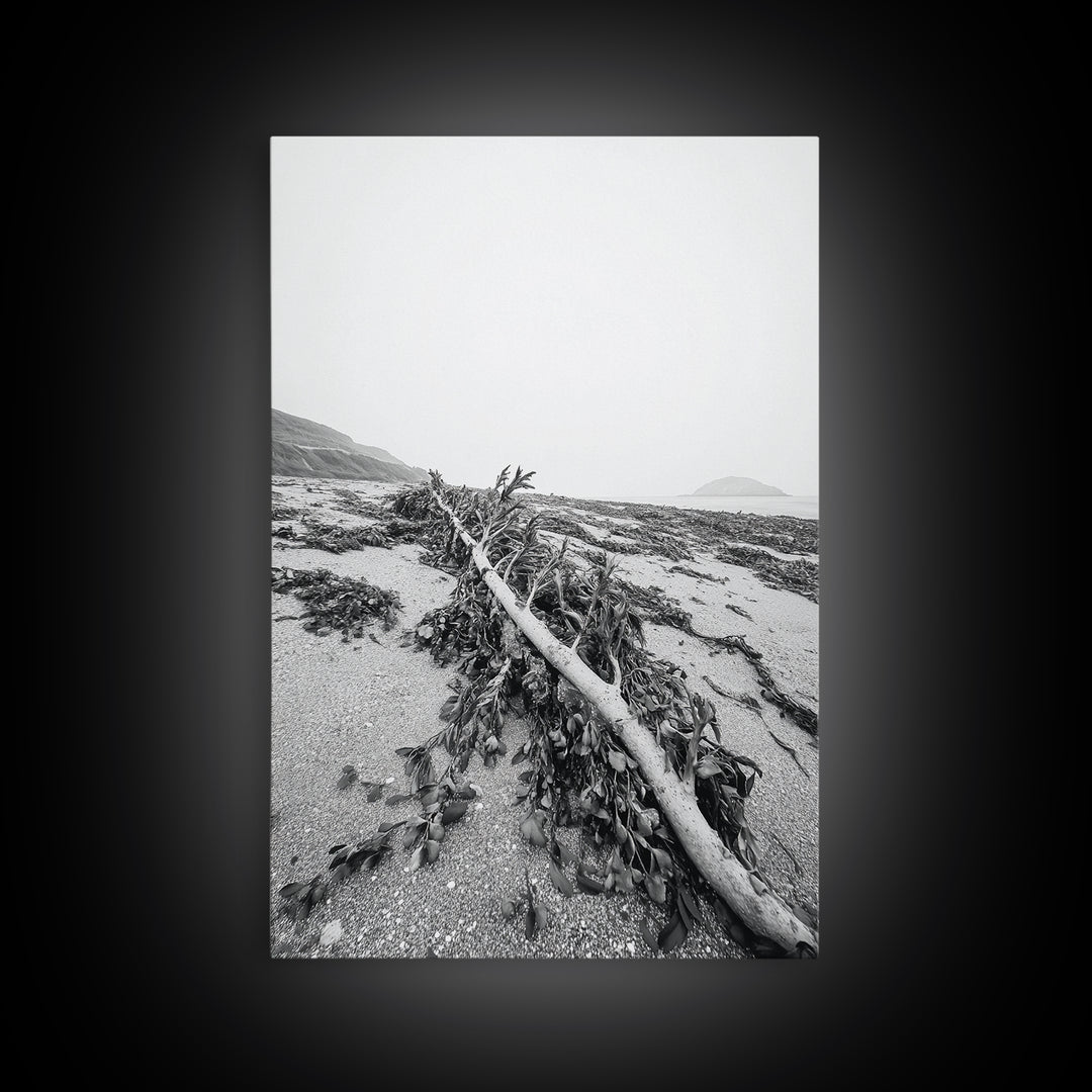 Seaweed Shoreline, Drifted Beauty, Coastal Debris, Tide Echo Framed Canvas Print, ocean nature wall art, minimalist beach decor