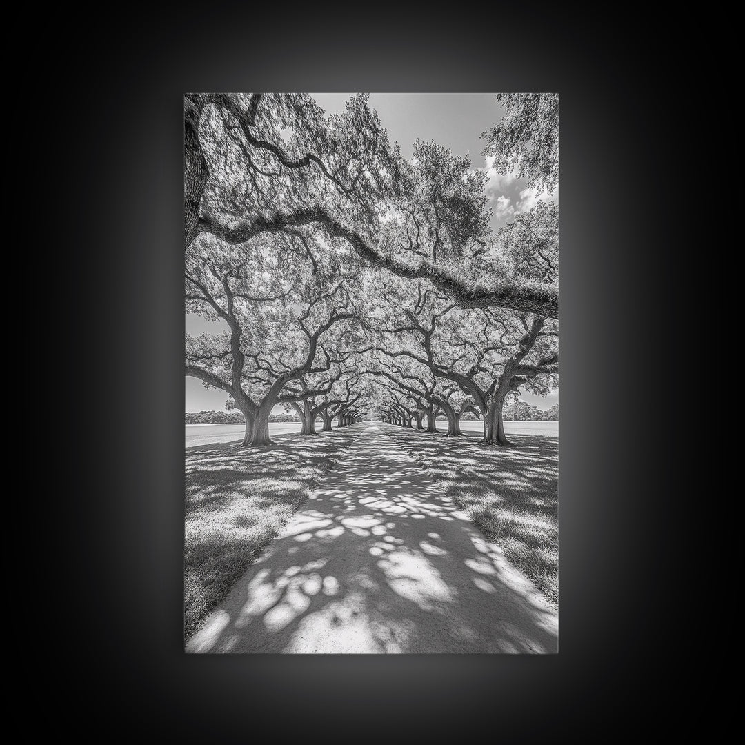 Oak Tree Tunnel, Southern Charm, Shaded Pathway, Timeless Trees Framed Canvas Print, farmhouse wall decor, hallway landscape art