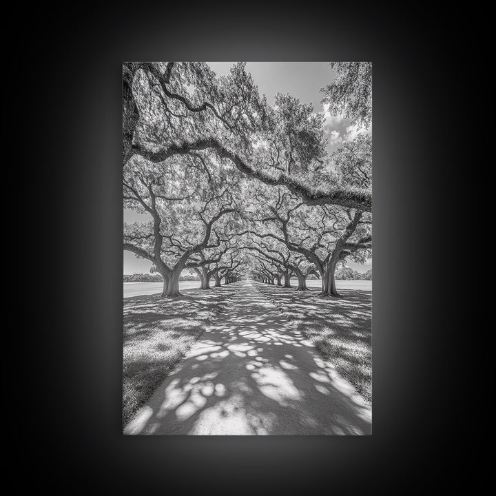 Oak Tree Tunnel, Southern Charm, Shaded Pathway, Timeless Trees Framed Canvas Print, farmhouse wall decor, hallway landscape art