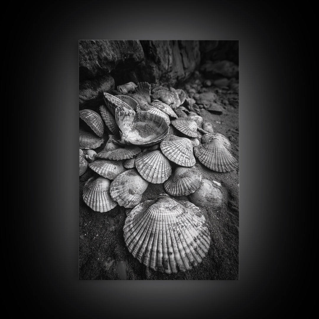 Seashell Pile, Textured Beach, Coastal Treasures, Natural Beauty Framed Canvas Print, bathroom decor, shell art, beach wall style
