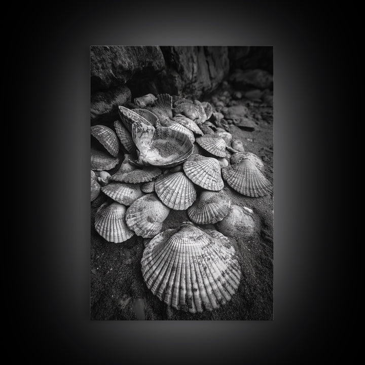 Seashell Pile, Textured Beach, Coastal Treasures, Natural Beauty Framed Canvas Print, bathroom decor, shell art, beach wall style