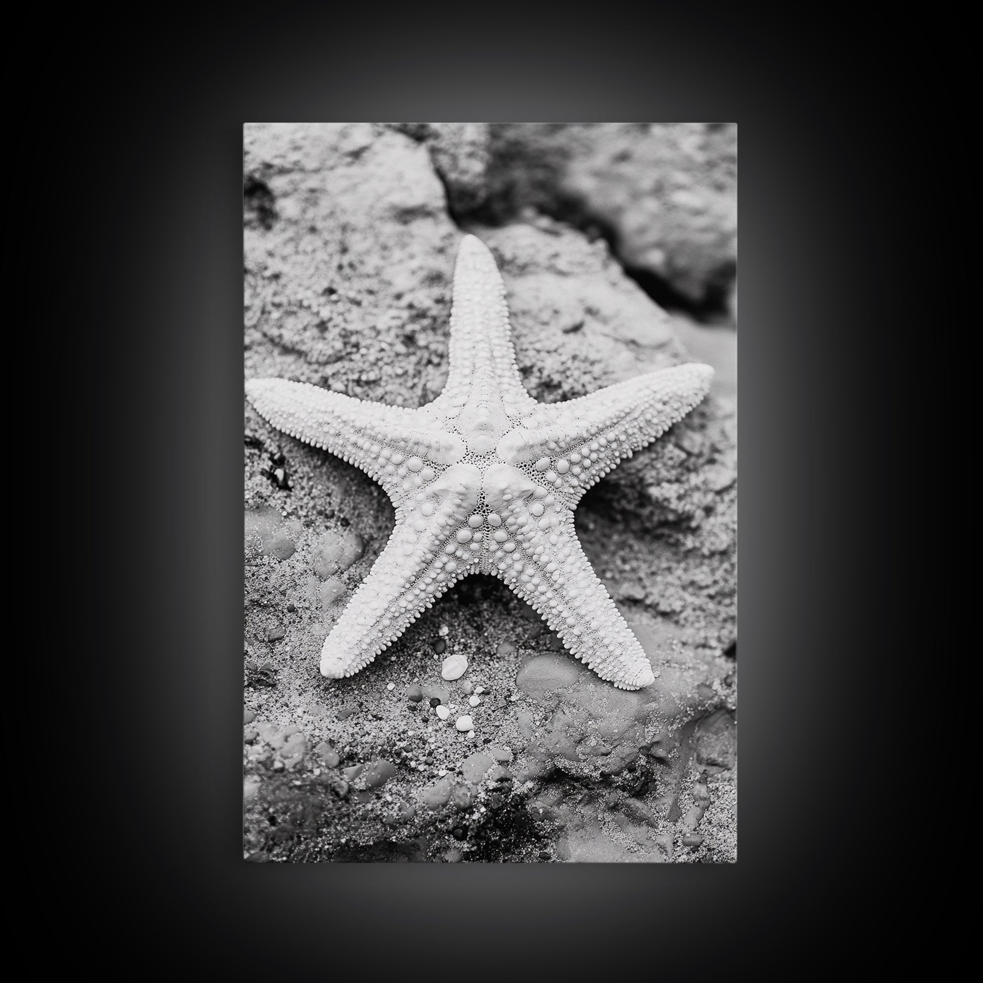 Starfish Closeup, Coastal Shell, Beach Texture, Framed Canvas Print, Bathroom or Ocean Nursery Decor, Minimal Beach Art