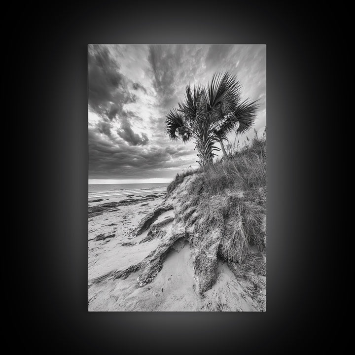 Palm Tree Beach, Coastal Dunes, Dramatic Sky, Framed Canvas Print, Tropical Wall Art, Boho Living Room Decor, Beach House Art