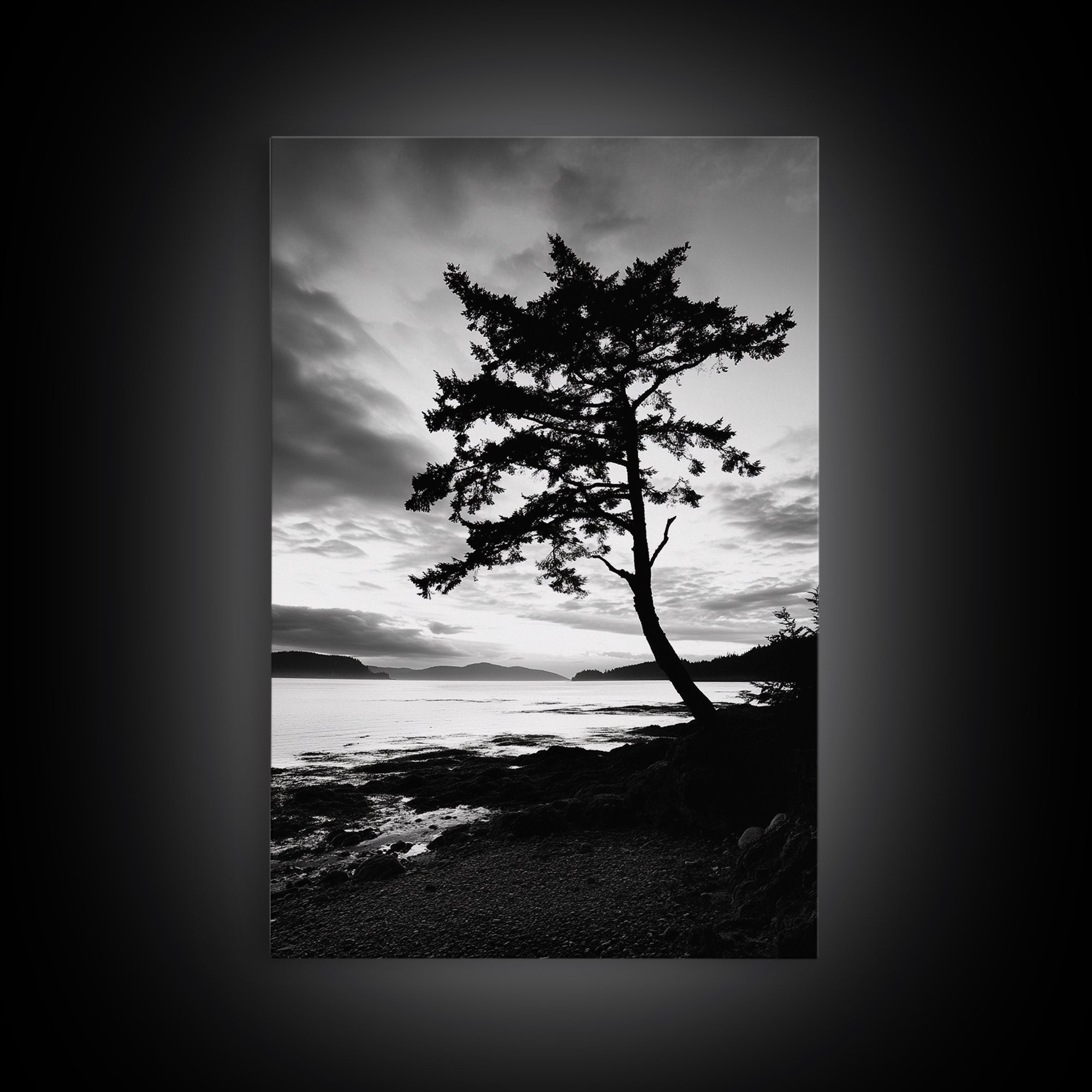 Coastal Tree, Pacific Northwest, Serene Landscape, Monochrome Nature Scene, Framed Canvas Print, Entryway Art, Rustic Cabin Wall Decor