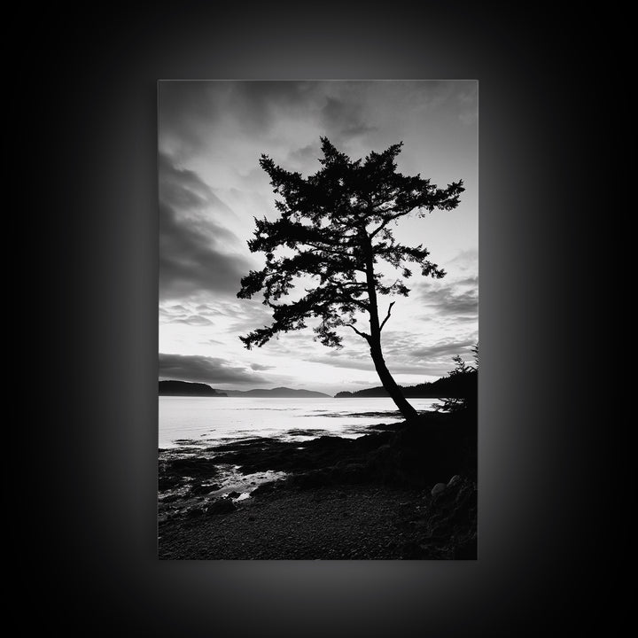 Coastal Tree, Pacific Northwest, Serene Landscape, Monochrome Nature Scene, Framed Canvas Print, Entryway Art, Rustic Cabin Wall Decor