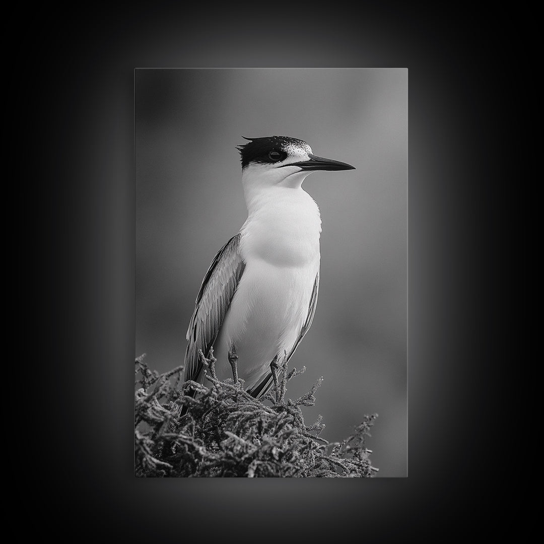 Coastal Bird Portrait, Black White Art, Nature Print, Minimalist Style, Living Room Wall Decor, Framed Canvas Print, Beach House Art