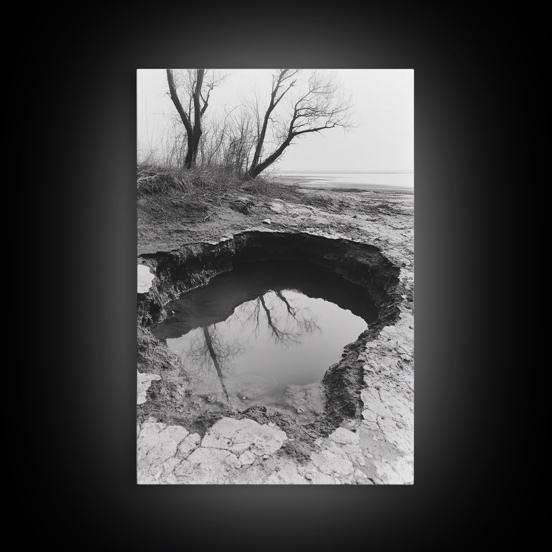 Reflected Trees Pool, Black White Nature, Moody Autumn Wall Art, Rustic Minimalist Style, Framed Canvas Print, Entryway Home Decor