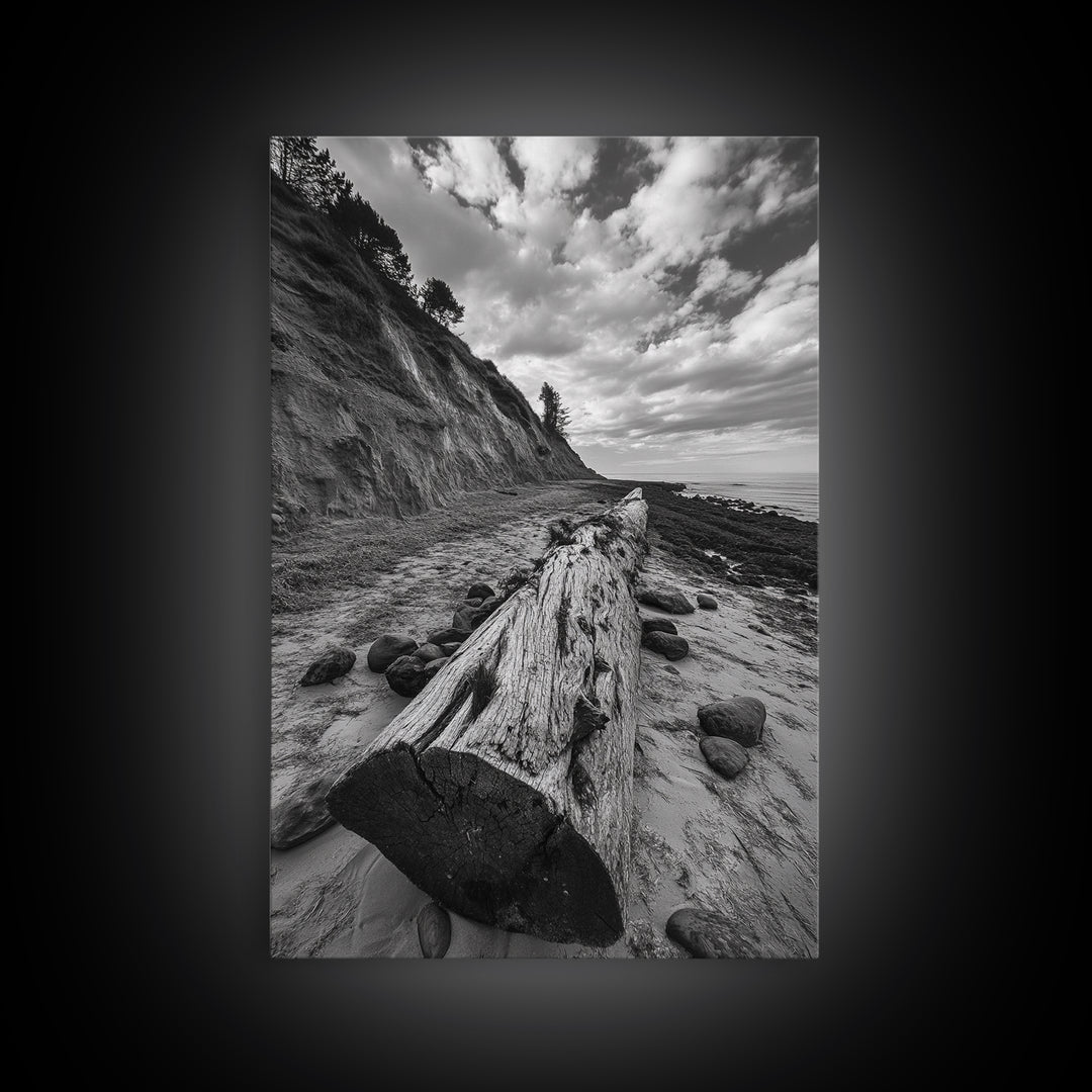 Driftwood Coastal Trail, Cliffside Path Nature Art, Rustic Cabin Style, Black White Photography, Framed Canvas Print, Hallway Wall Decor