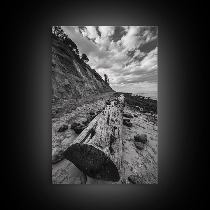 Driftwood Coastal Trail, Cliffside Path Nature Art, Rustic Cabin Style, Black White Photography, Framed Canvas Print, Hallway Wall Decor