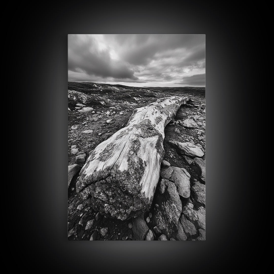 Rocky Terrain Driftwood, Weathered Wood Scene, Outdoor Adventure Art, Modern Rustic Decor, Framed Canvas Print, Earthy Tones Photography