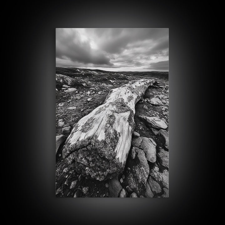 Rocky Terrain Driftwood, Weathered Wood Scene, Outdoor Adventure Art, Modern Rustic Decor, Framed Canvas Print, Earthy Tones Photography