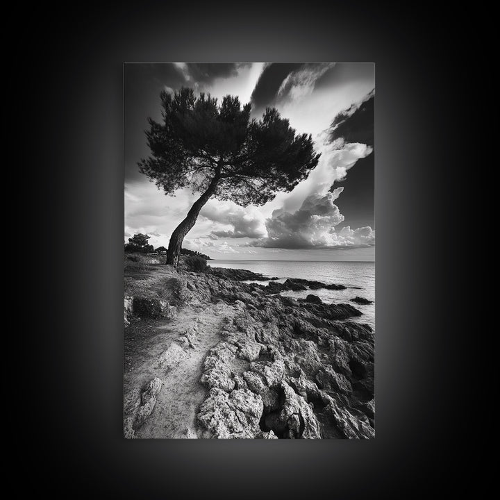Wind Bent Tree, Coastal Cliff, Solitary Beauty, Canvas Print, Nature Photography Wall Art, Minimalist Earthy Decor, Moody Landscape
