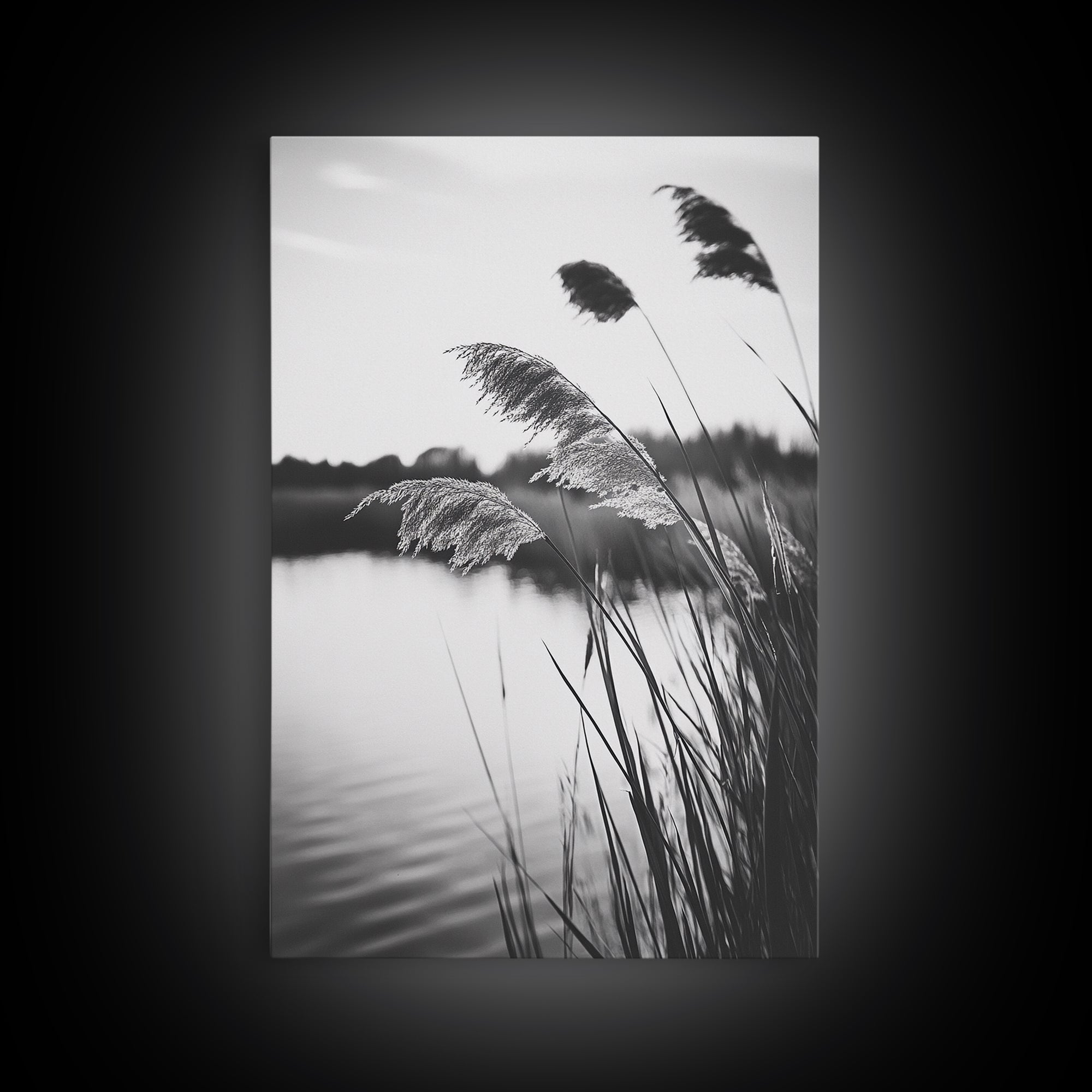 Reed Grass, Gentle Breeze, Black and White Nature, Canvas Print, Minimalist Wall Art, Tranquil Lake Scene, Bedroom Decor