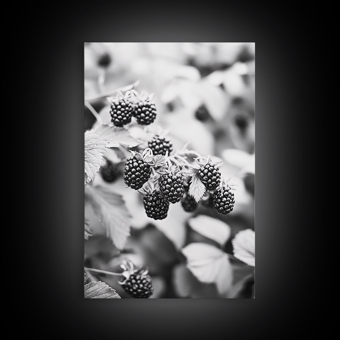 Blackberries in Bloom, Ripe Fruit Closeup, Garden Harvest, Natural Beauty, Framed Canvas Print, Farmhouse Kitchen Art, Fall Decor