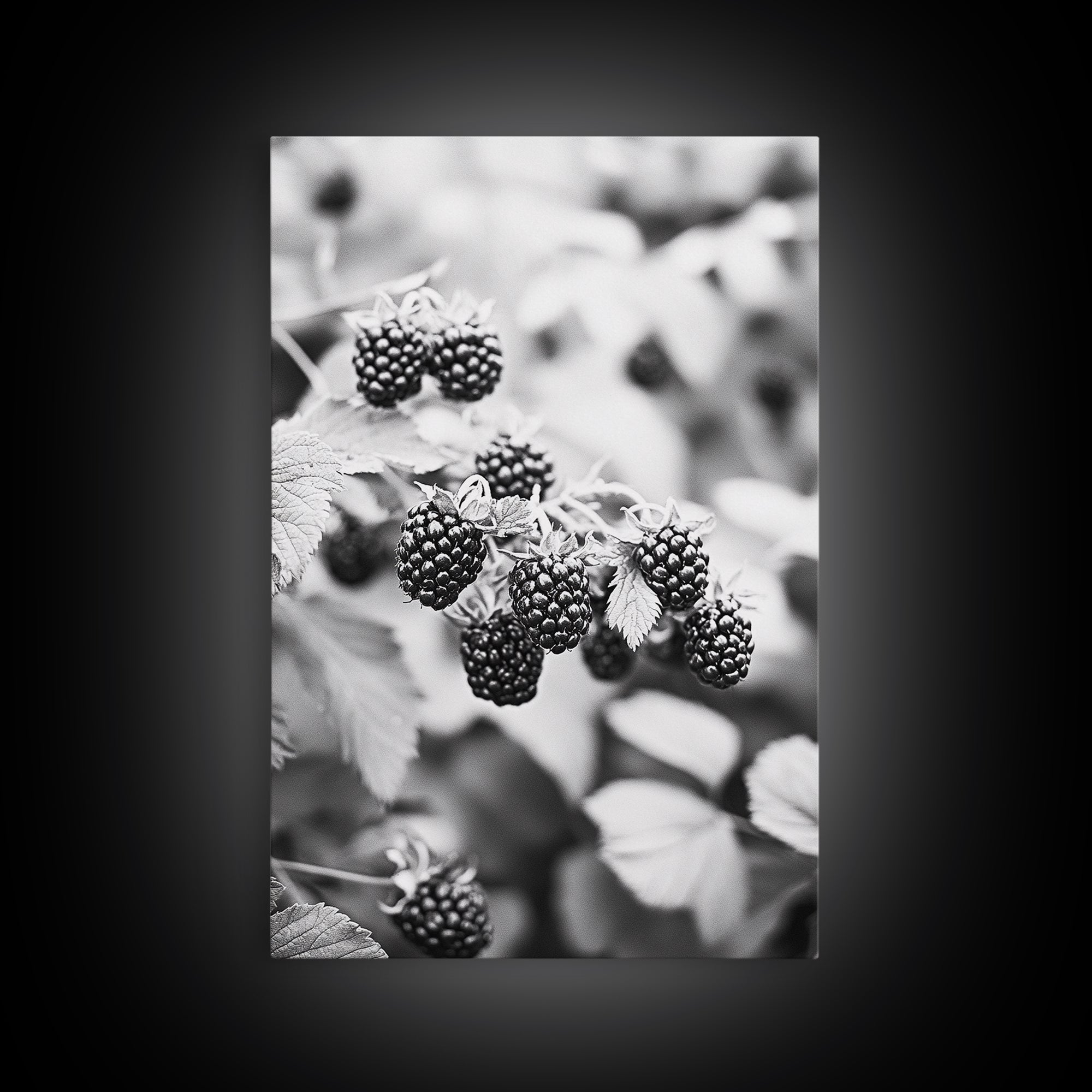 Blackberries in Bloom, Ripe Fruit Closeup, Garden Harvest, Natural Beauty, Framed Canvas Print, Farmhouse Kitchen Art, Fall Decor