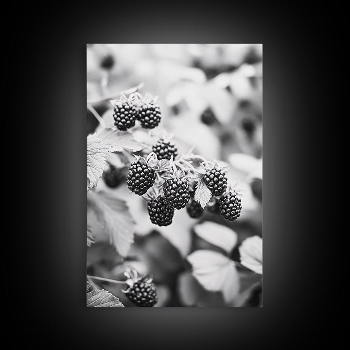 Blackberries in Bloom, Ripe Fruit Closeup, Garden Harvest, Natural Beauty, Framed Canvas Print, Farmhouse Kitchen Art, Fall Decor