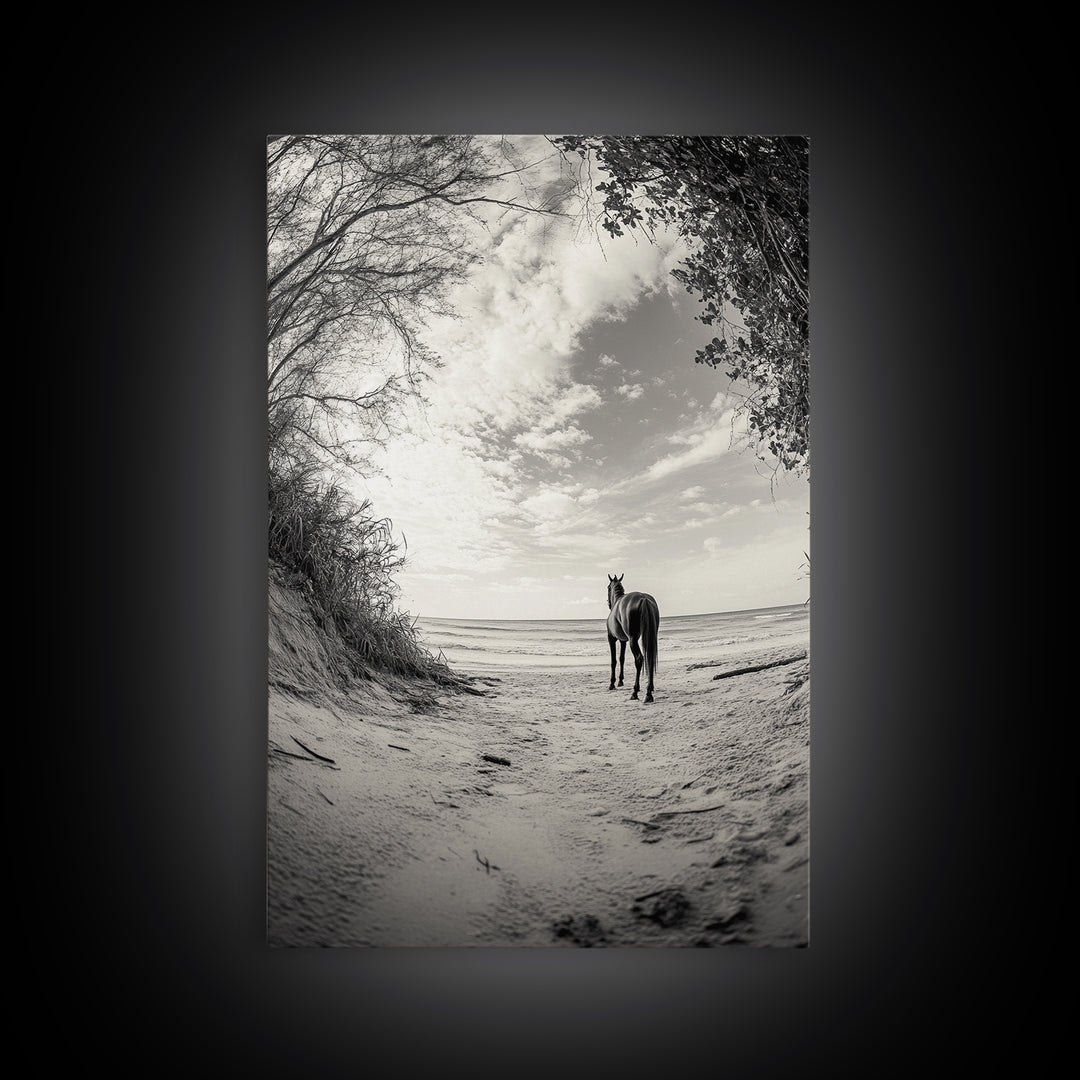 Horse on Shore, Ocean Path Scene, Wild Beauty, Serene Escape, Framed Canvas Print, Boho Wall Art, Bedroom or Entryway Decor