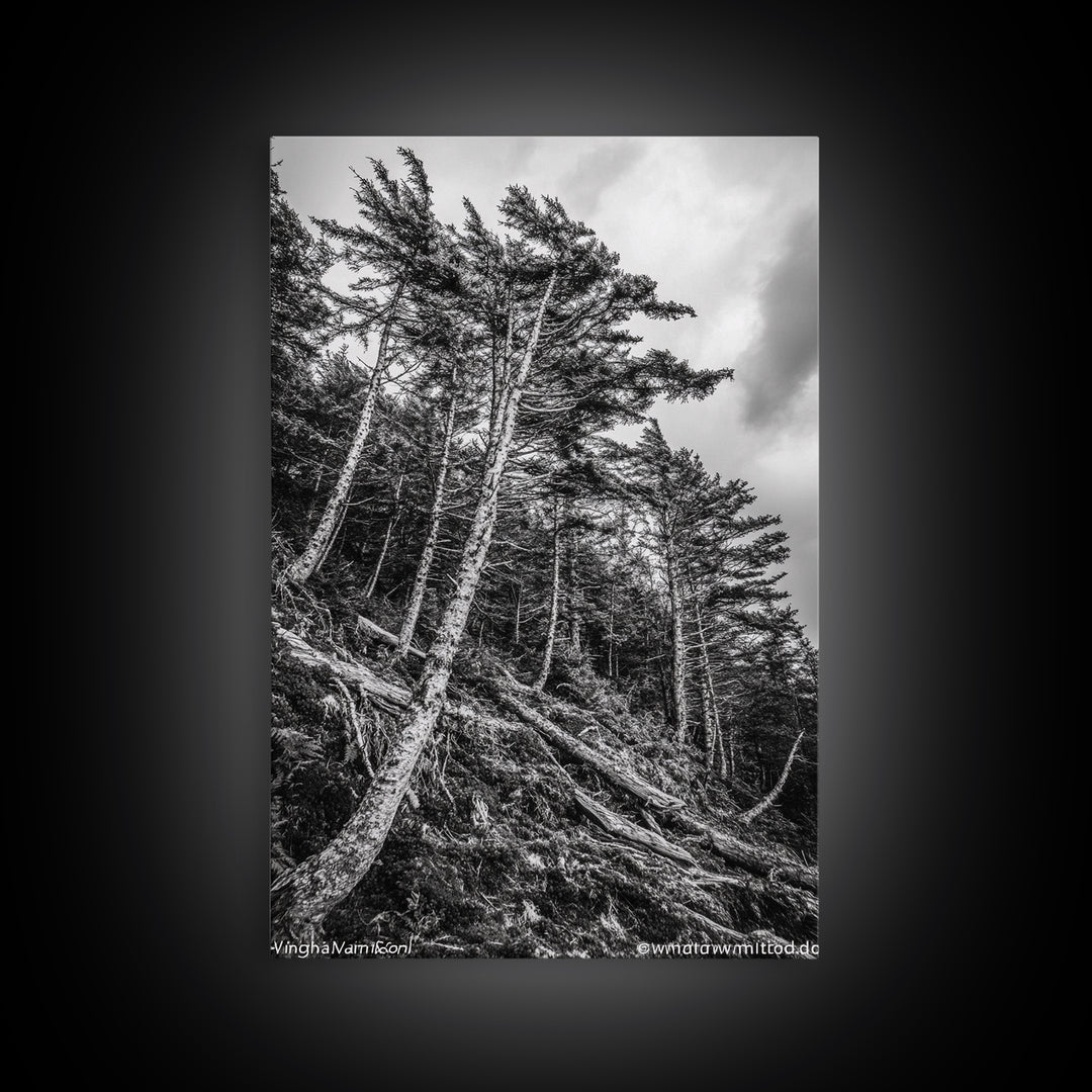 Windy Pines, Forest Landscape, Nature Photography, Framed Canvas Print, Rustic Wall Art, Cabin Decor, Minimalist Art, Fall Home Style