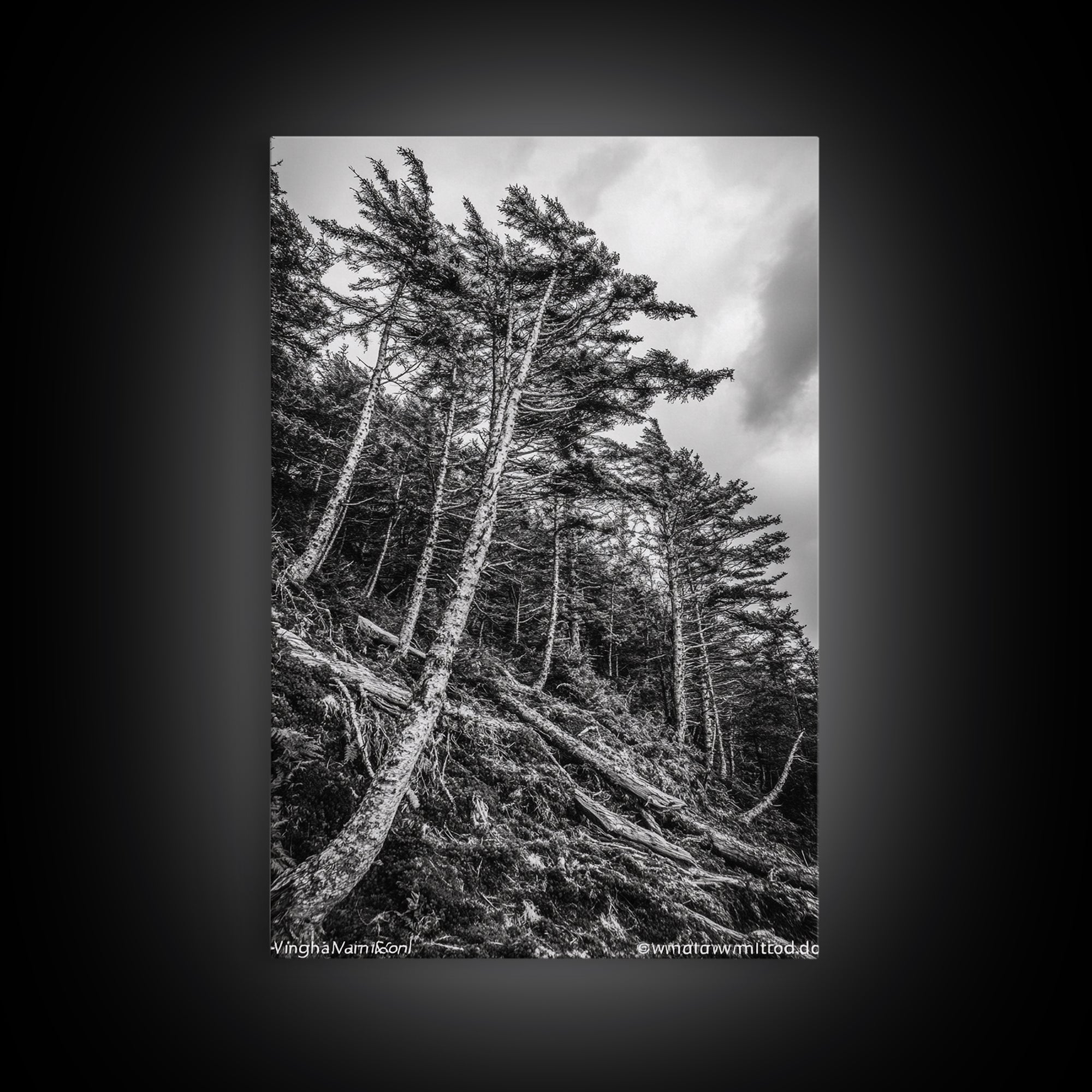 Windy Pines, Forest Landscape, Nature Photography, Framed Canvas Print, Rustic Wall Art, Cabin Decor, Minimalist Art, Fall Home Style