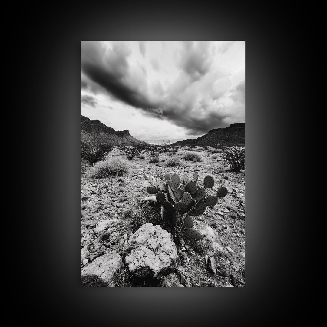 Desert Storm, Cactus Scene, Black White Art, Canvas Print, Southwest Wall Art, Earthy Tones Decor, Boho Style, Entryway Wall Accent