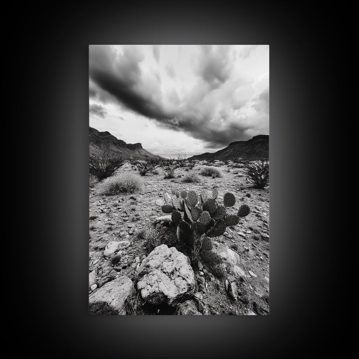 Desert Storm, Cactus Scene, Black White Art, Canvas Print, Southwest Wall Art, Earthy Tones Decor, Boho Style, Entryway Wall Accent