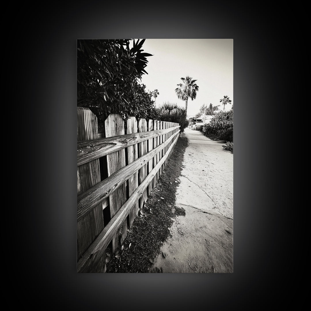 Palm Fence, California Pathway, Suburban Tranquility, Canvas Print, Outdoor Wall Art, Neutral Tones, Modern Minimalist Home Vibe
