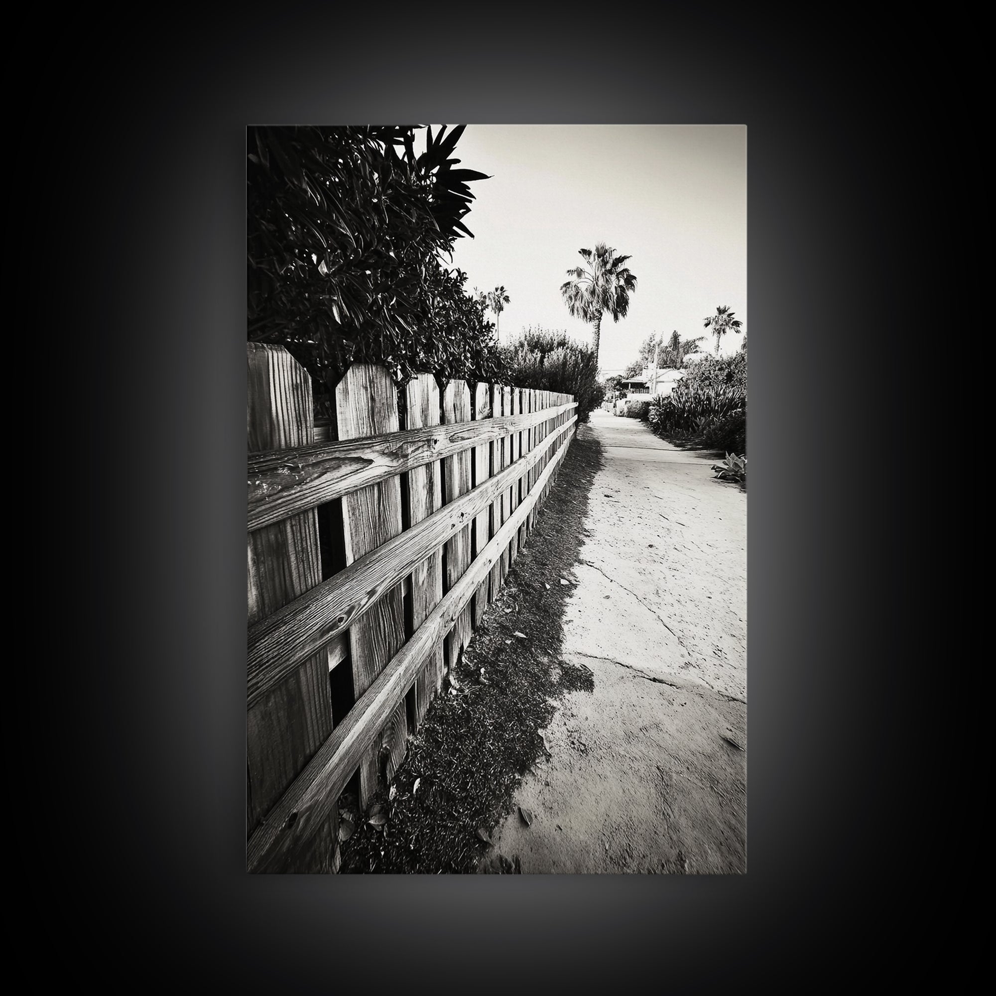 Palm Fence, California Pathway, Suburban Tranquility, Canvas Print, Outdoor Wall Art, Neutral Tones, Modern Minimalist Home Vibe
