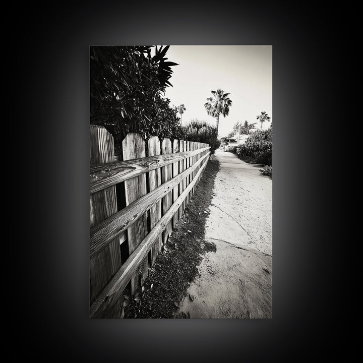 Palm Fence, California Pathway, Suburban Tranquility, Canvas Print, Outdoor Wall Art, Neutral Tones, Modern Minimalist Home Vibe