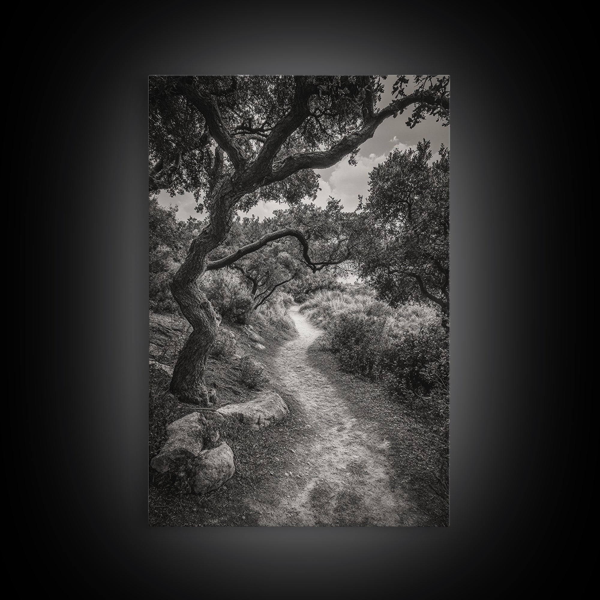 Forest Path, Twisting Trees, Nature Trail Scene, Framed Canvas Print, Earthy Wall Art, Boho Woodland Decor, Entryway or Hallway Accent