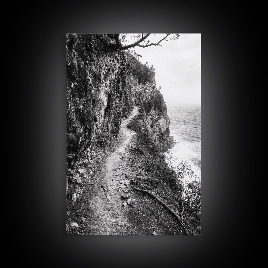 Cliffside Trail, Seaside Path, Coastal Adventure, Outdoor Photography, Framed Canvas Print, Cabin Nature Lover Wall Art, Bedroom Wall Art
