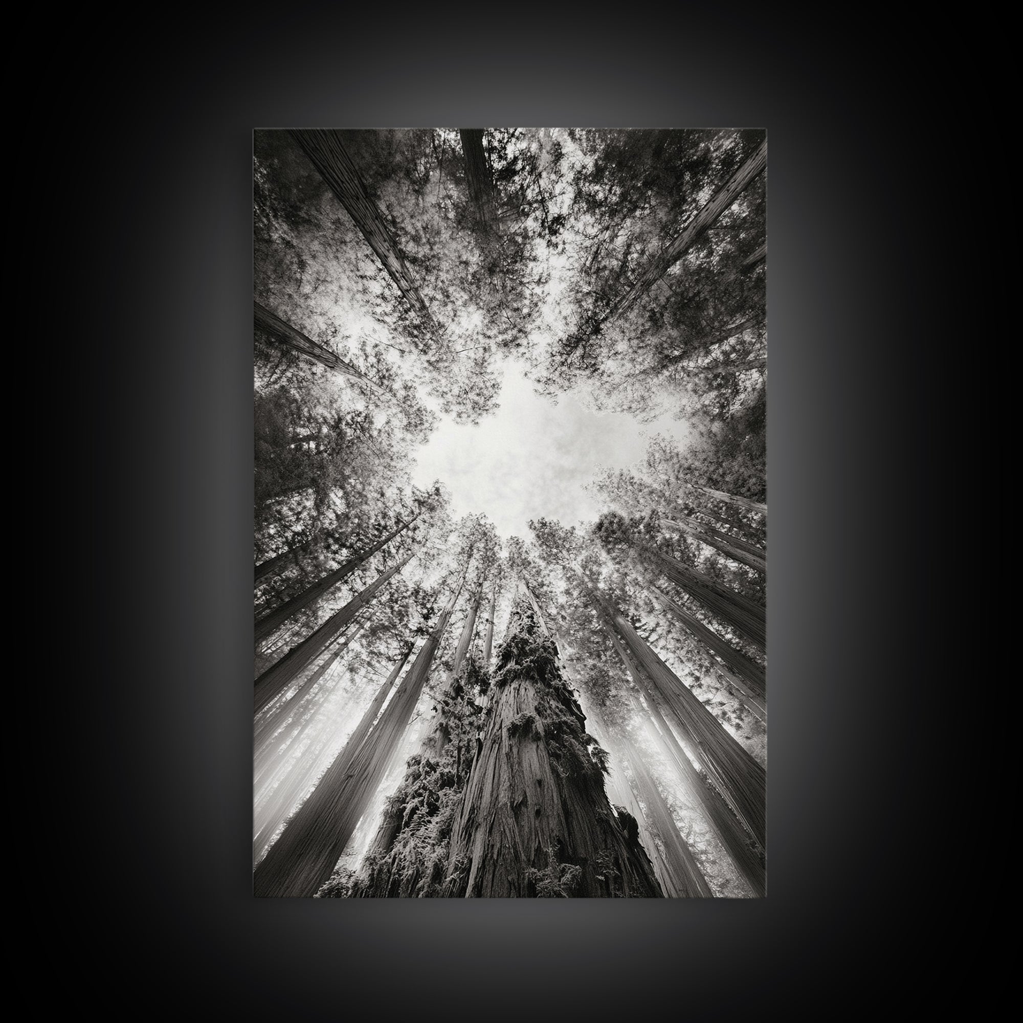 Redwood Canopy Sky, Majestic Forest Trees, Vertical Nature Scene, Framed Canvas Print, Wilderness Wall Art, Lodge or Den Decor