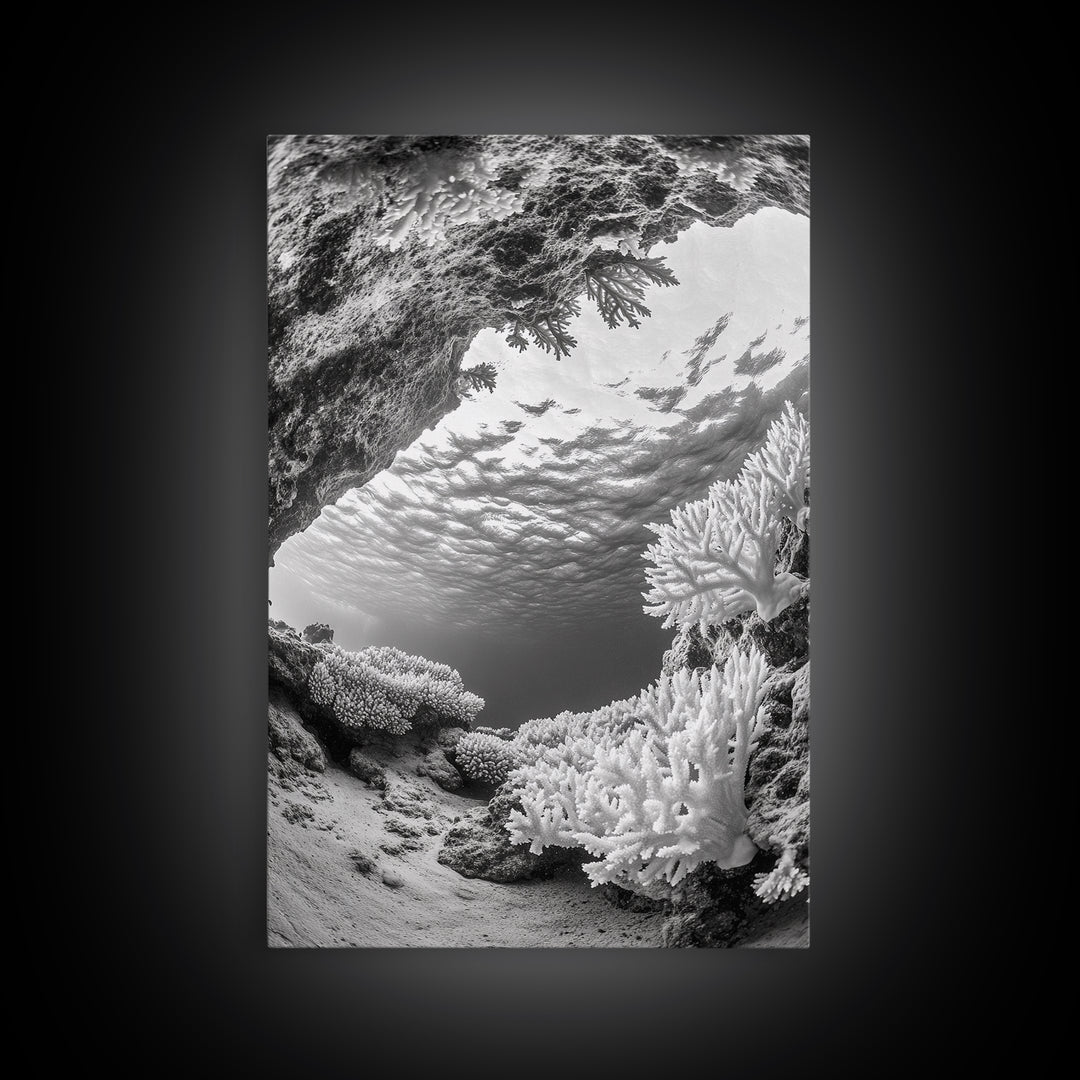Coral Reef Underwater, Ocean Photography, Marine Nature Scene, Framed Canvas Print, Bathroom Wall Art, Coastal Minimalist Decor