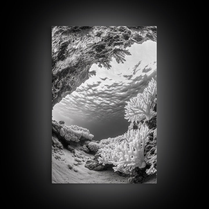 Coral Reef Underwater, Ocean Photography, Marine Nature Scene, Framed Canvas Print, Bathroom Wall Art, Coastal Minimalist Decor