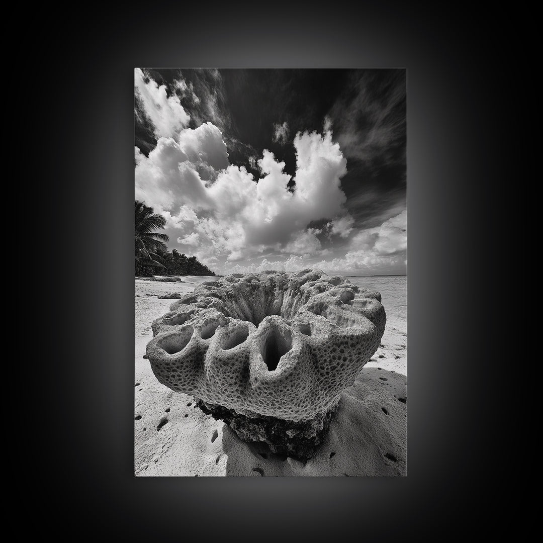 Coral Reef Texture, Ocean Wall Art, Coastal Minimalist, Nature Photography, Framed Canvas Print, Bathroom Wall Decor, Tropical Beach Print