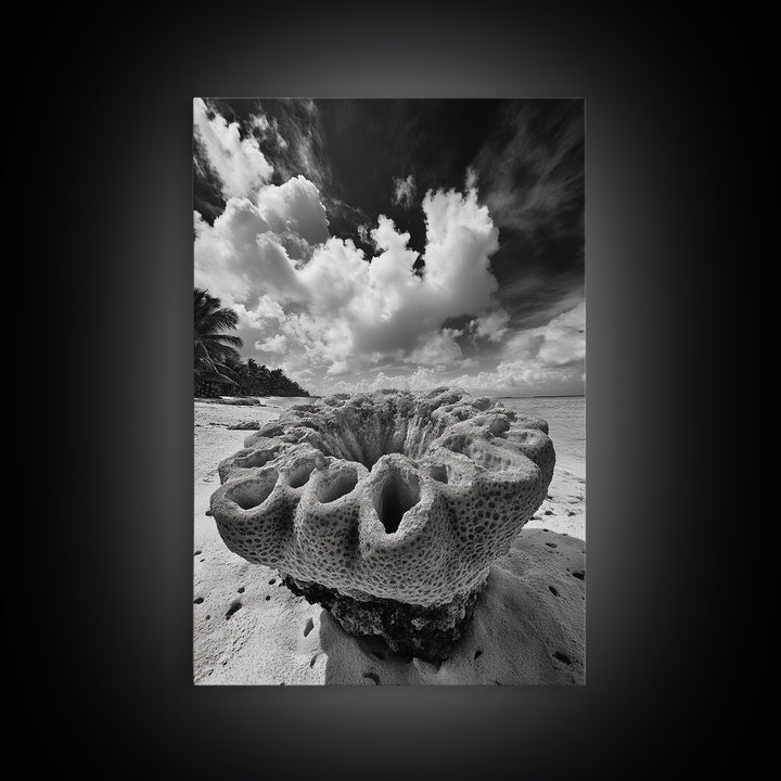 Coral Reef Texture, Ocean Wall Art, Coastal Minimalist, Nature Photography, Framed Canvas Print, Bathroom Wall Decor, Tropical Beach Print