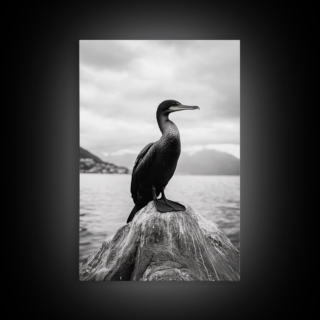 Coastal Bird Portrait, Nature Minimalism, Lake Decor, Monochrome Wildlife, Framed Canvas Print, Bedroom Wall Art, Bird Photography Print