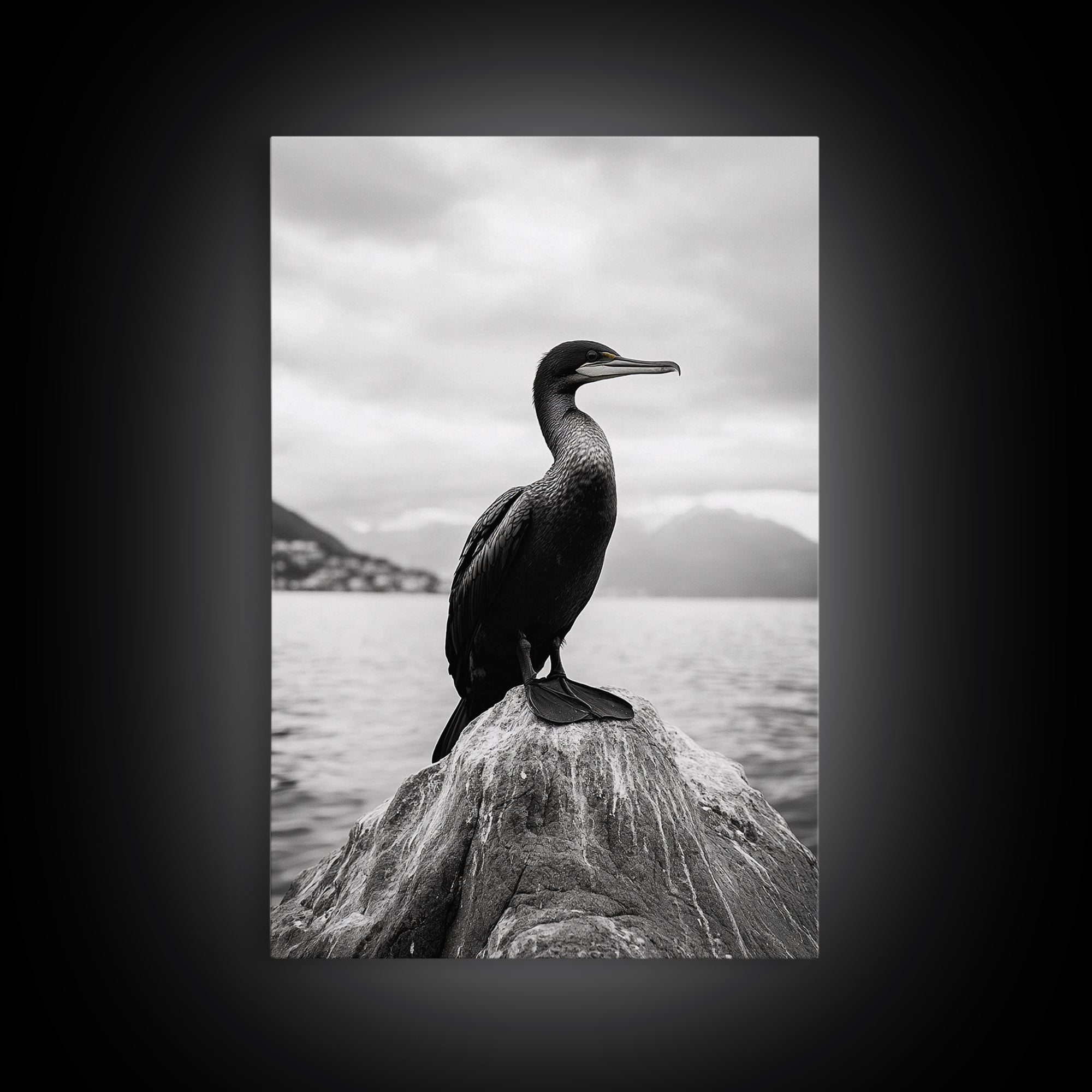 Coastal Bird Portrait, Nature Minimalism, Lake Decor, Monochrome Wildlife, Framed Canvas Print, Bedroom Wall Art, Bird Photography Print