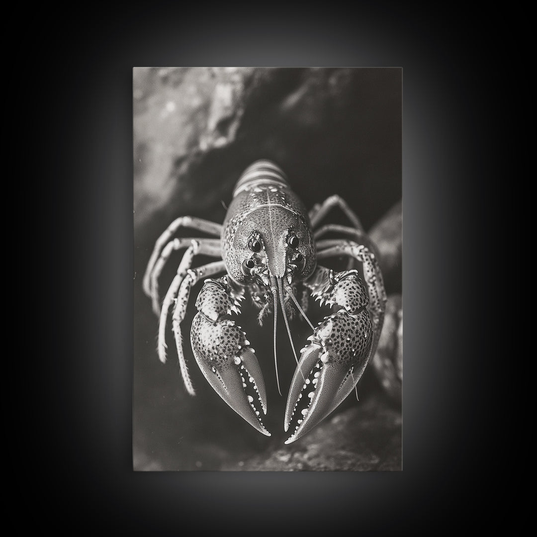 Lobster Close Up, Marine Life Art, Coastal Kitchen Decor, Monochrome Sea Animal, Framed Canvas Print, Ocean Wall Art, Nautical Print