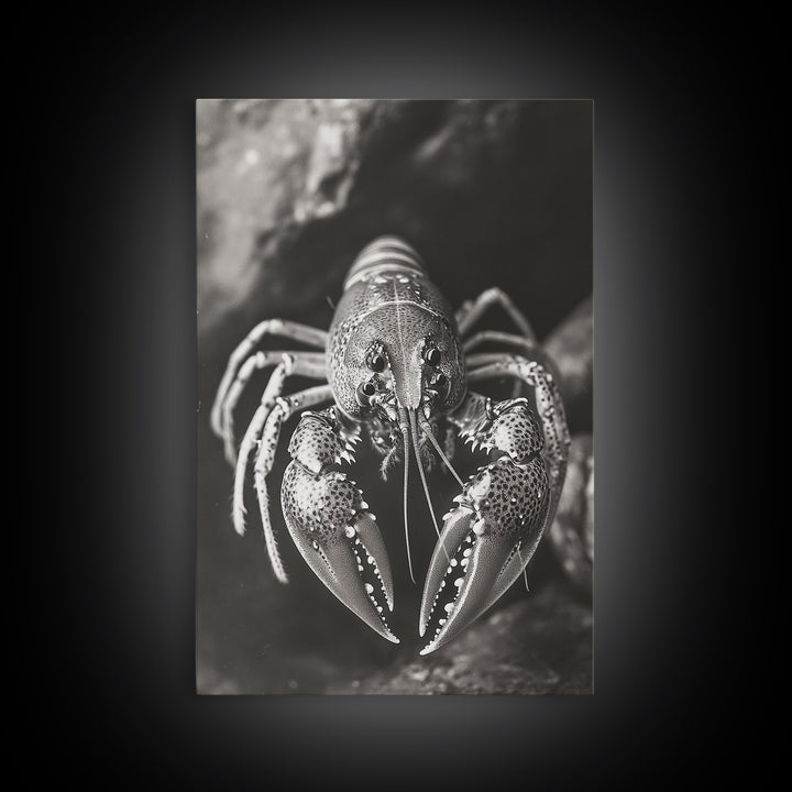 Lobster Close Up, Marine Life Art, Coastal Kitchen Decor, Monochrome Sea Animal, Framed Canvas Print, Ocean Wall Art, Nautical Print