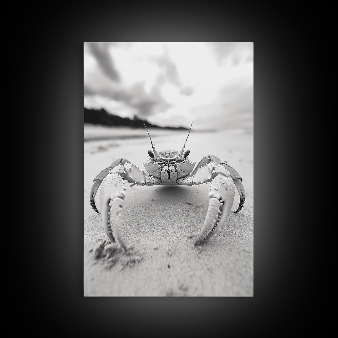 Beach Crab Portrait, Closeup Ocean Art, Tropical Minimalism, Coastal Creature Photo, Framed Canvas Print, Bathroom Wall Decor, Marine Decor