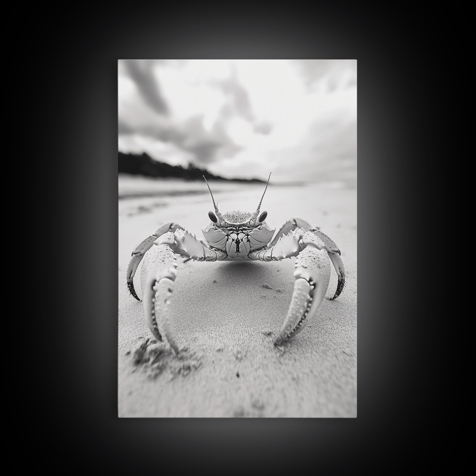 Beach Crab Portrait, Closeup Ocean Art, Tropical Minimalism, Coastal Creature Photo, Framed Canvas Print, Bathroom Wall Decor, Marine Decor