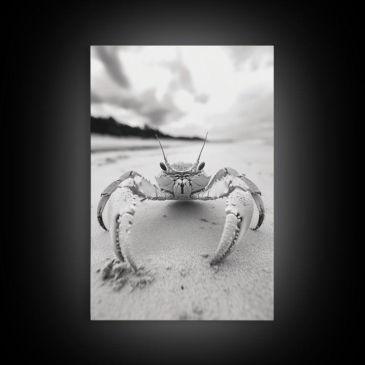 Beach Crab Portrait, Closeup Ocean Art, Tropical Minimalism, Coastal Creature Photo, Framed Canvas Print, Bathroom Wall Decor, Marine Decor