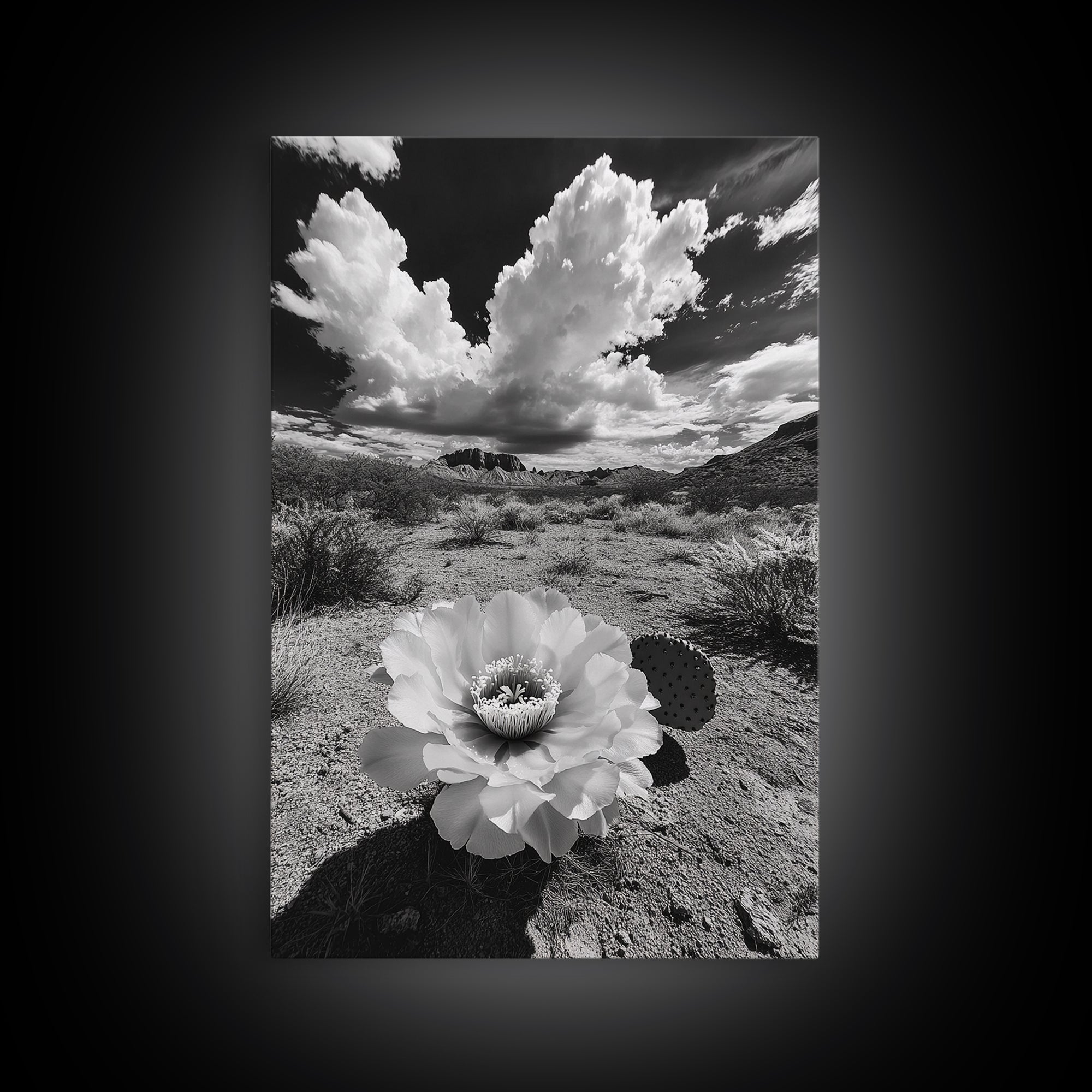 Desert Bloom, Cactus Flower, Bold Nature, Framed Canvas Print, Boho Wall Art, Southwestern Home Decor, Dramatic Desert Photography