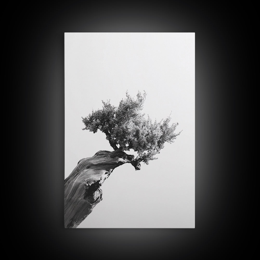 Bonsai Tree, Windswept Wood, Minimal Zen, Canvas Print, Japanese Style Art, Wabi Sabi Decor, Monochrome Botanical Wall Accent