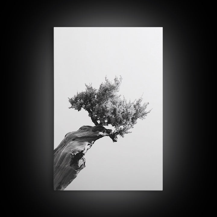 Bonsai Tree, Windswept Wood, Minimal Zen, Canvas Print, Japanese Style Art, Wabi Sabi Decor, Monochrome Botanical Wall Accent
