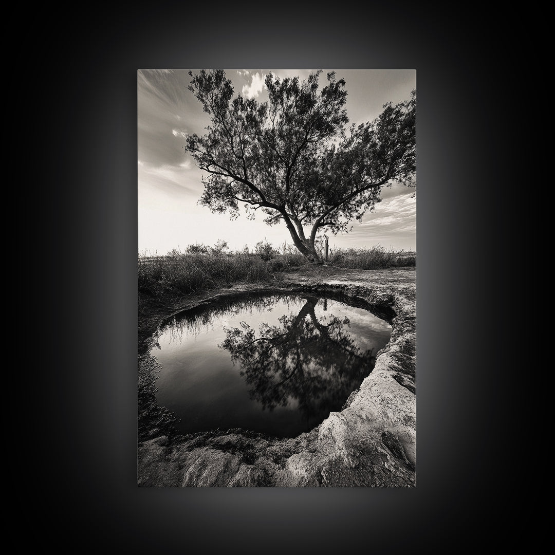 Tree Reflection, Still Water, Peaceful Nature, Framed Canvas Print, Tranquil Wall Art, Rustic Bedroom Decor, Black and White Photography