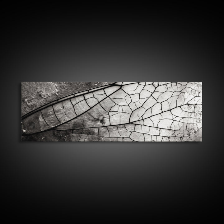 Macro Insect Wing, Abstract Nature Texture, Modern Neutral Wall Decor, Framed Canvas Print, Office Art, Monochrome Macro Photography