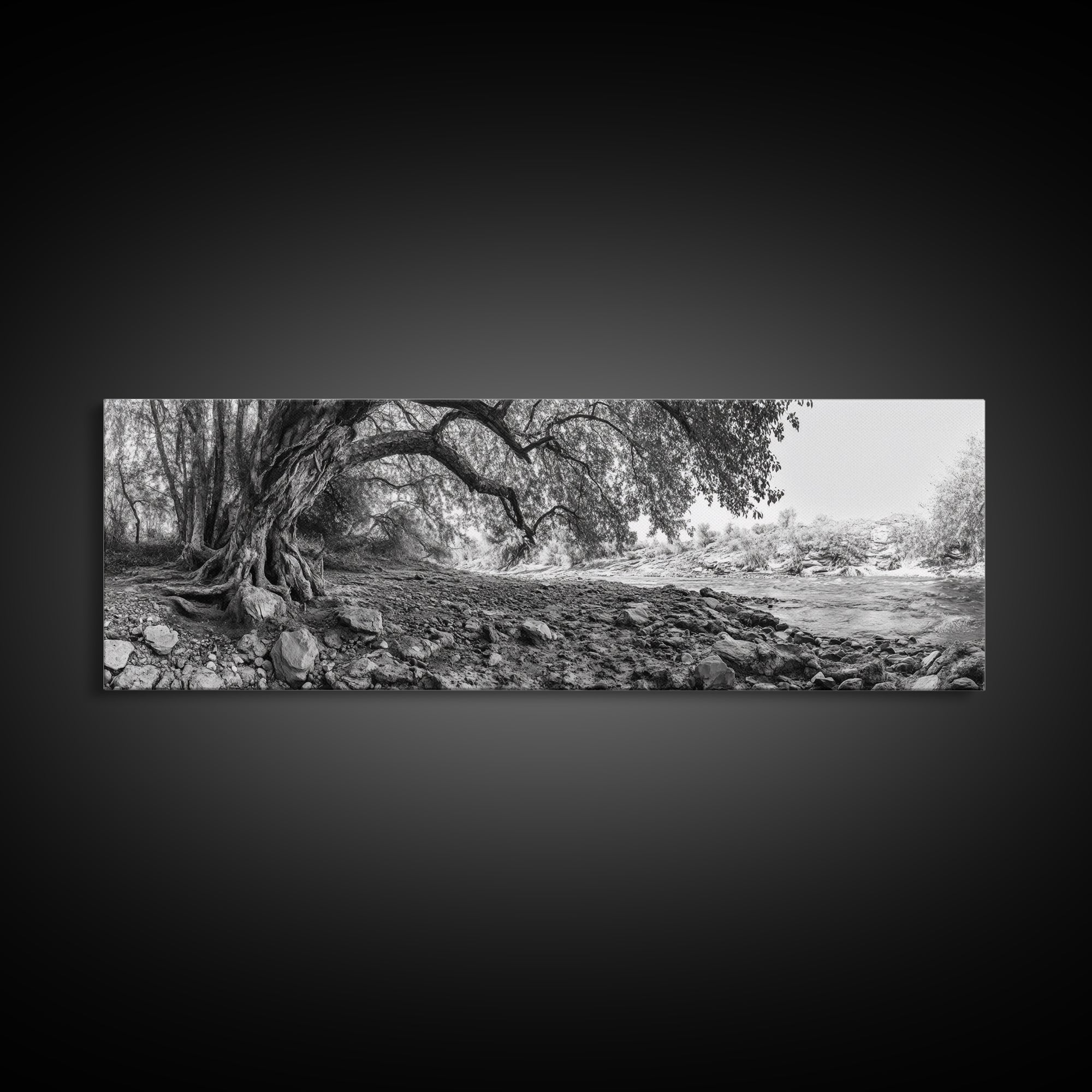 River Tree Roots, Tranquil Forest Landscape, Nature Wall Decor, Framed Canvas Print, Living Room Art, Black and White Earthy Style